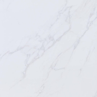 плитка Prissmacer Isis 60x60