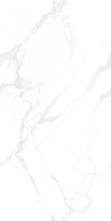 плитка Inspiro Premium White Honed 60x120 (SH6126101QGB honed (SH6126101TGB))