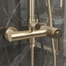 душевая система Rea Ontario brushed gold (REA-P9494)